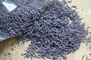 라벤더허브(Lavender herbs)