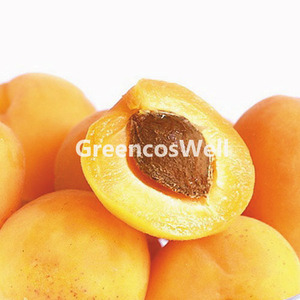살구씨 오일 / Apricot kernel oil