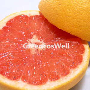 Grapefruit Pink / 그레이프핑크 /EO
